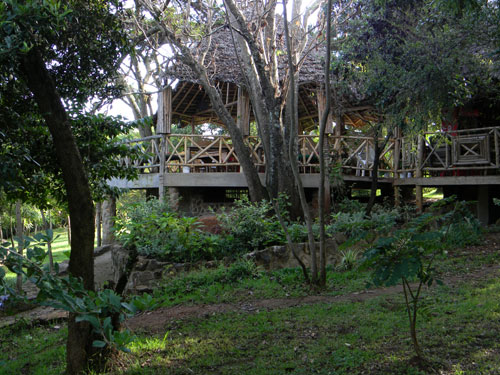 Open view from dining area at Naiberi River Camp photo © by Michael Plagens