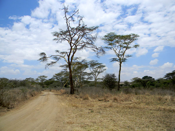 Nairobi National Park photo © by Michael Plagens