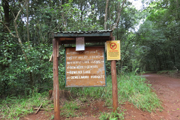 Karura Forest, Nairobi, Kenya, photo © by Mwangi Gitau