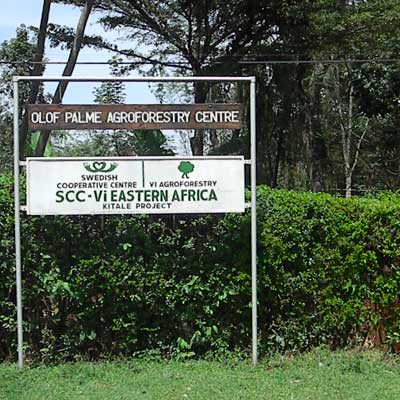 Agro-Forestry Center at Kitale, Kenya, photo © by Michael Plagens