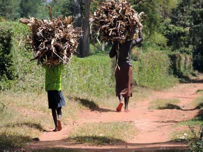 Children engaged in farm work near Kitale, Kenya, photo © by Michael Plagens